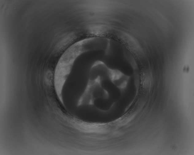 X0000089400036200707131749