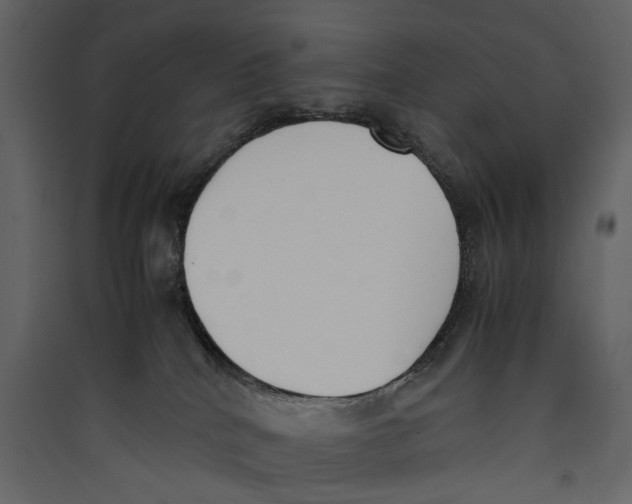 X0000089400040200707131749