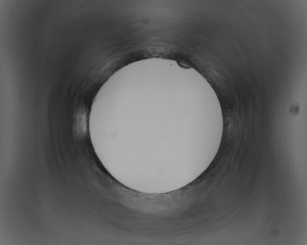 X0000089400042200707131749