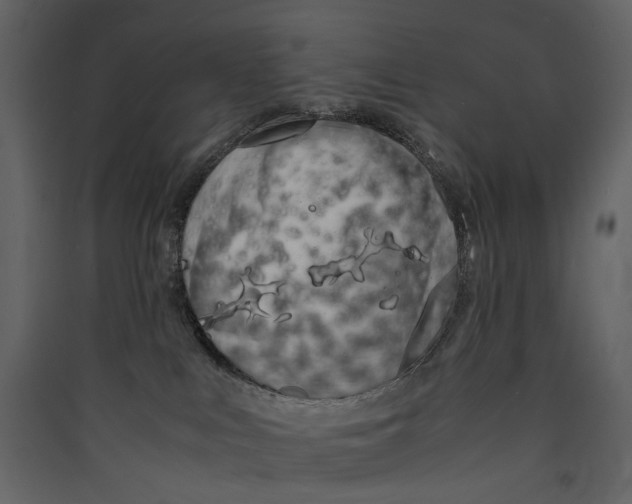 X0000089400043200707131749