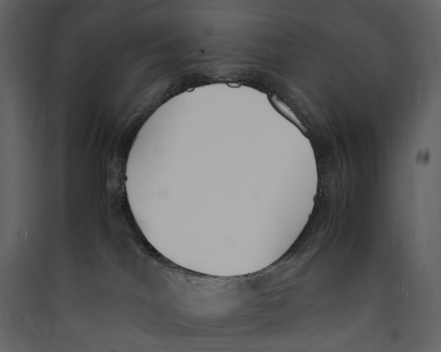 X0000089400044200707131749