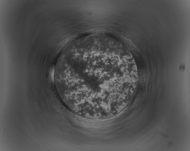 X0000089400047200707131749