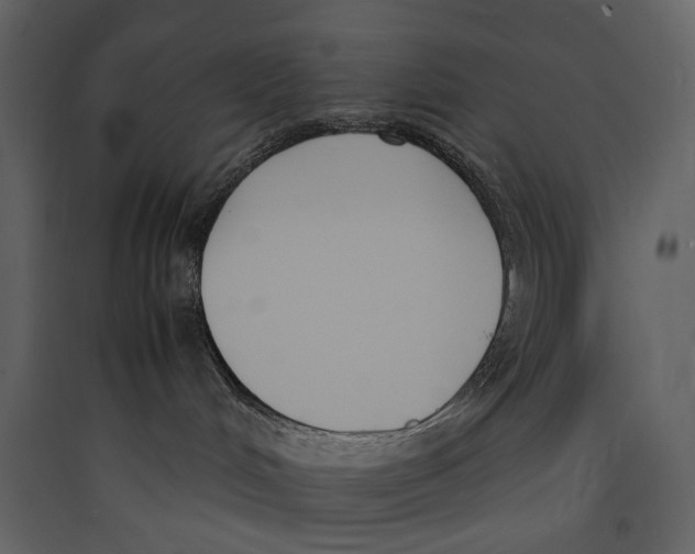 X0000089400048200707131749