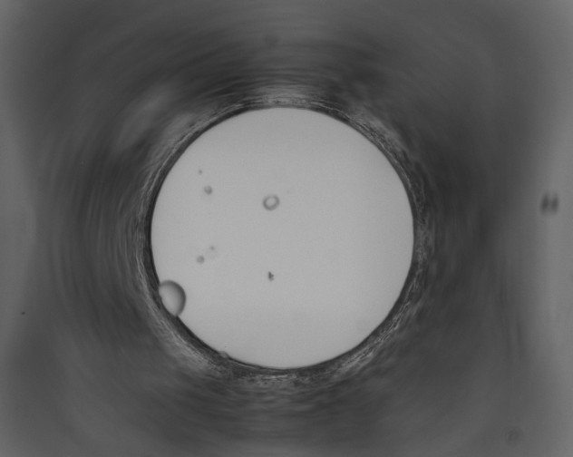 X0000089400049200707131748