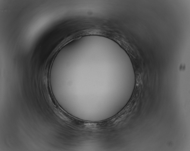 X0000089400052200707131748