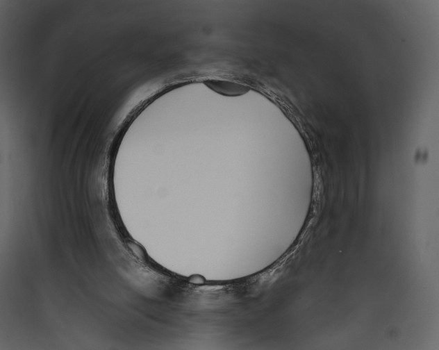X0000089400054200707131748