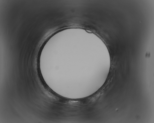 X0000089400055200707131748