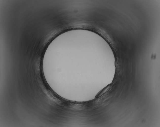 X0000089400058200707131748