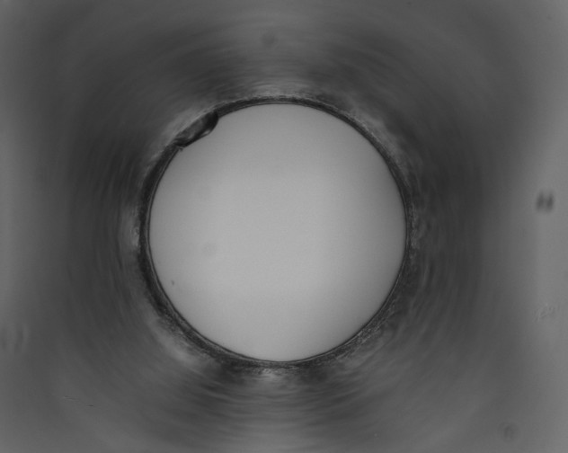 X0000089400060200707131748