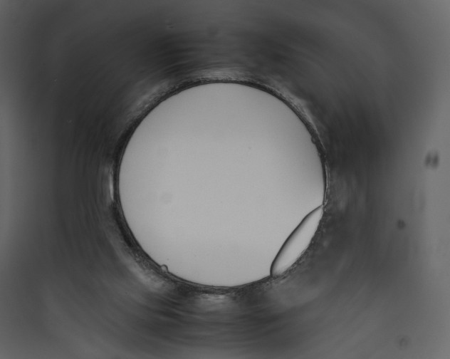 X0000089400061200707131748