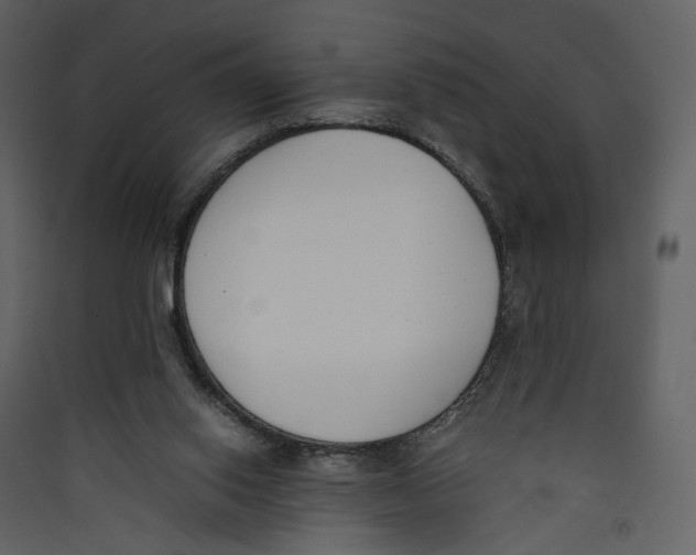 X0000089400062200707131748