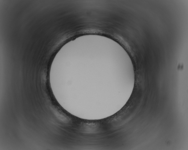 X0000089400063200707131748