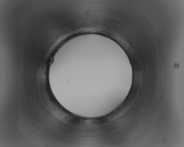 X0000089400064200707131748