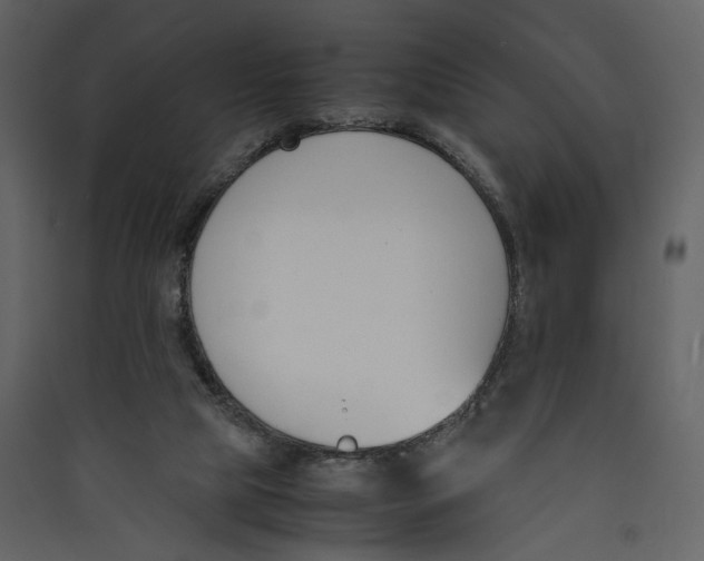 X0000089400065200707131748