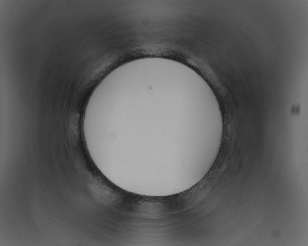 X0000089400066200707131748
