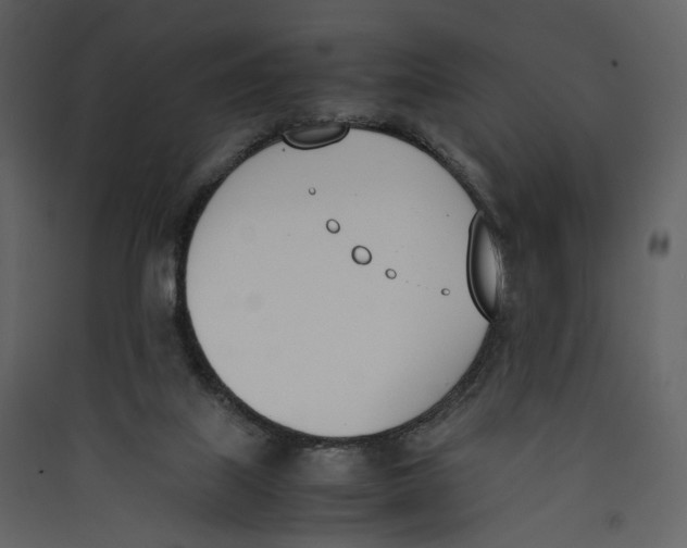 X0000089400067200707131748