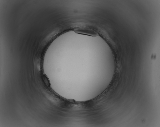 X0000089400068200707131748