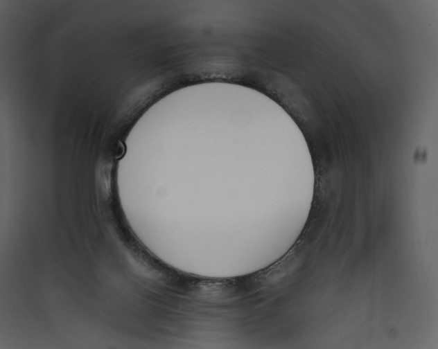 X0000089400070200707131748
