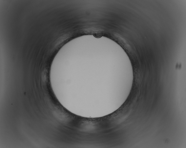 X0000089400071200707131748