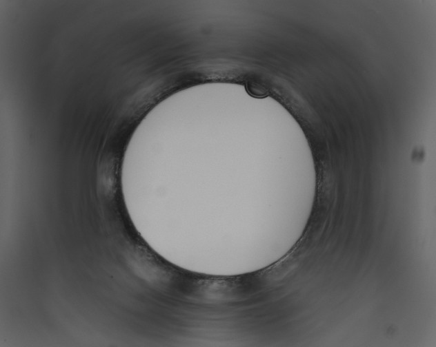X0000089400074200707131748