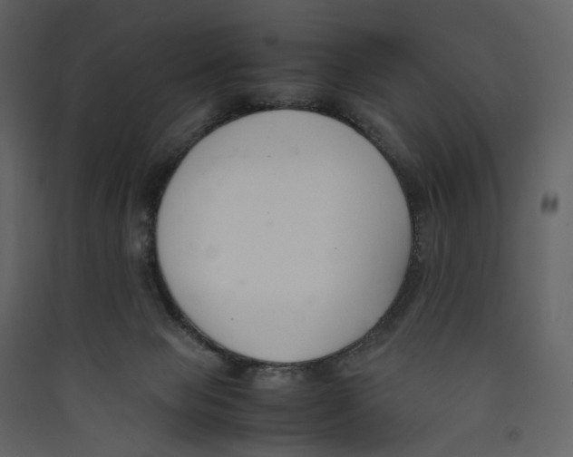 X0000089400077200707131748
