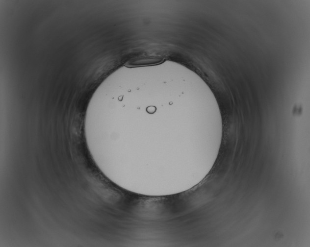 X0000089400078200707131748