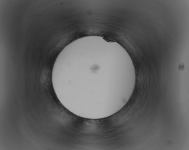 X0000089400079200707131748