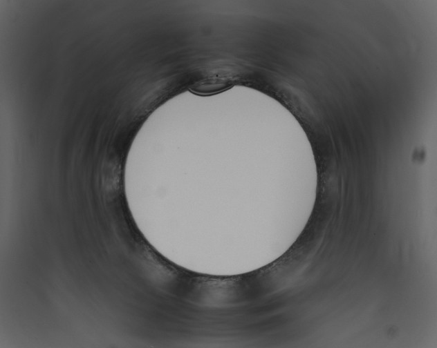 X0000089400081200707131748