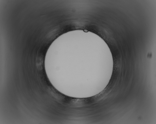 X0000089400082200707131748