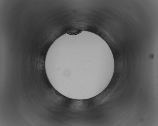X0000089400083200707131748