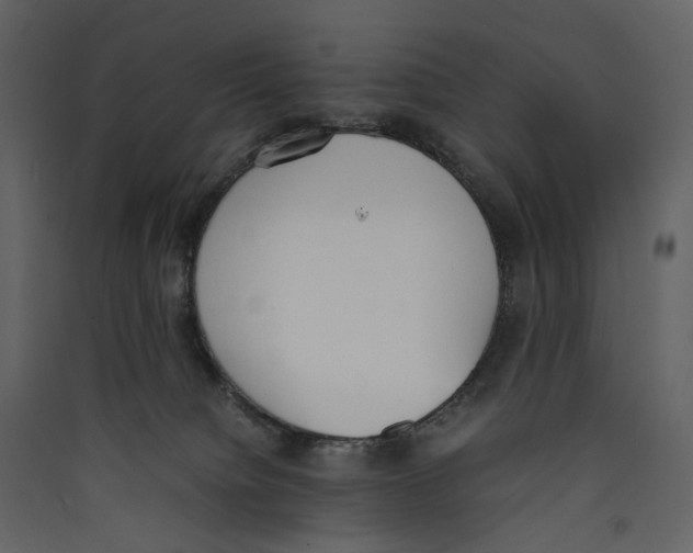 X0000089400084200707131748