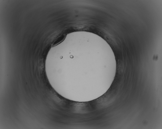 X0000089400085200707131748