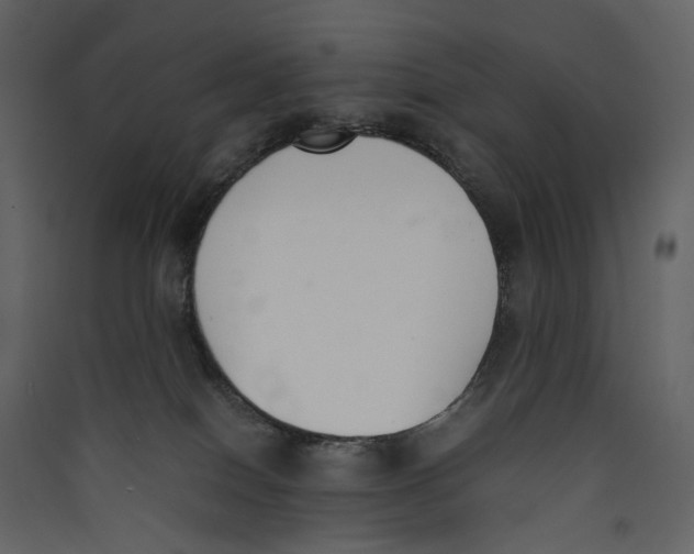 X0000089400086200707131748