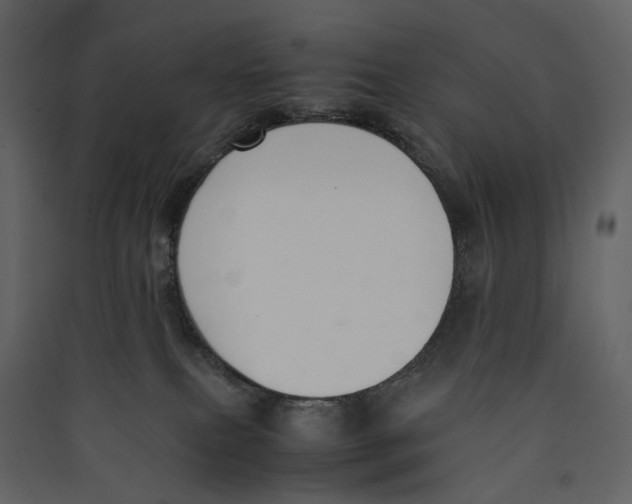 X0000089400087200707131748