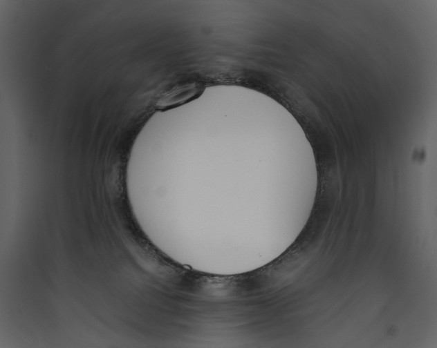 X0000089400088200707131748
