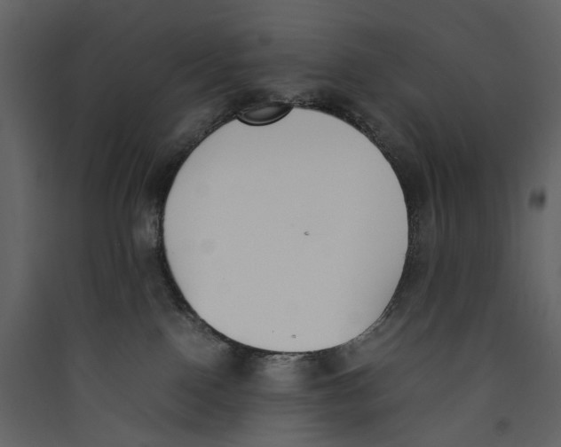 X0000089400090200707131748