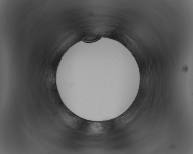 X0000089400091200707131748