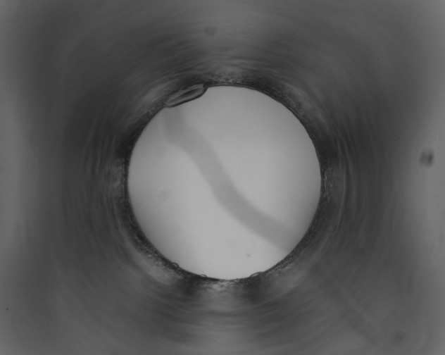 X0000089400092200707131748