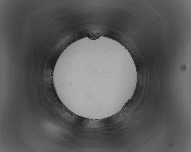 X0000089400093200707131749