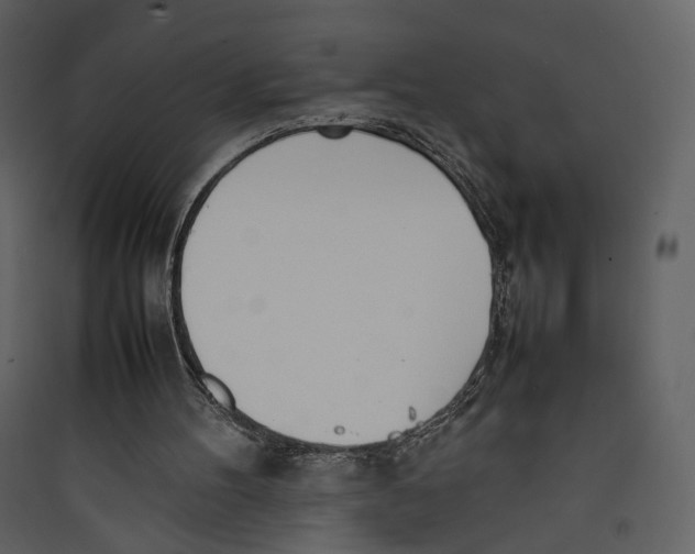 X0000089400100200707131748