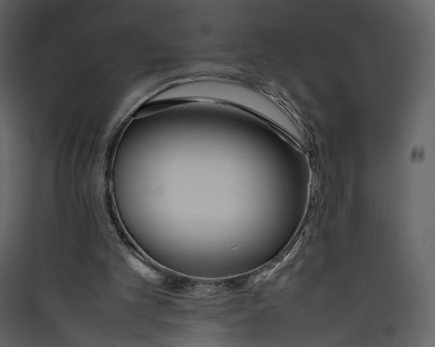 X0000089400101200707131748