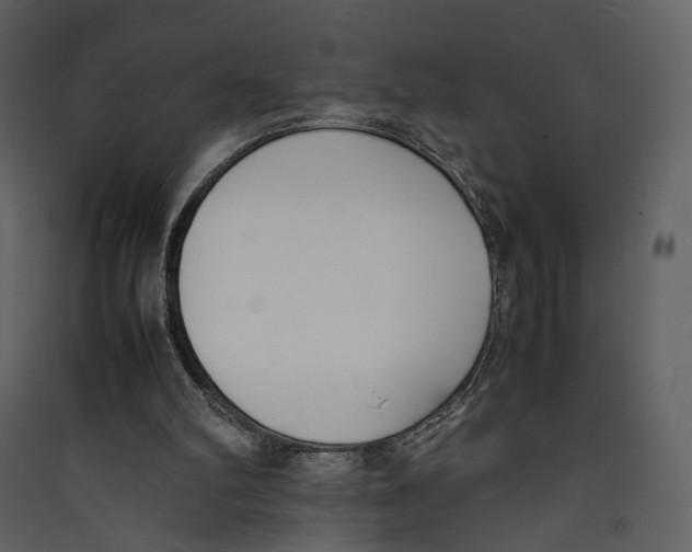 X0000089400102200707131748