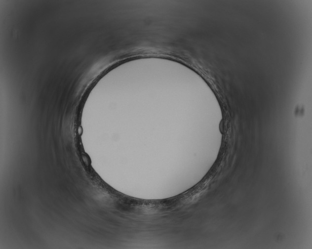 X0000089400103200707131748