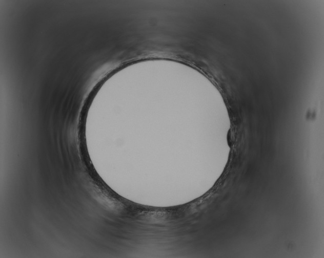X0000089400104200707131748