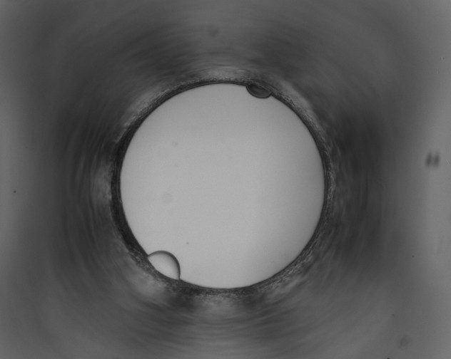 X0000089400106200707131748