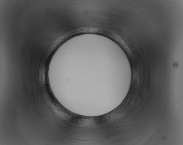 X0000089400110200707131748
