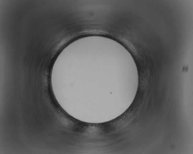 X0000089400111200707131748