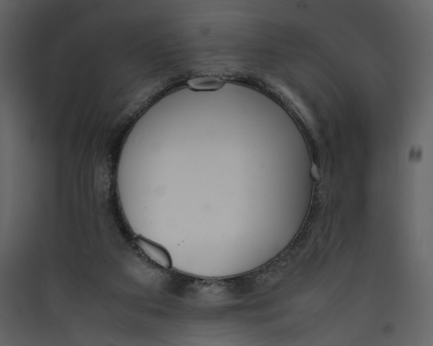 X0000089400113200707131748