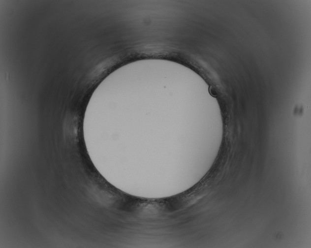 X0000089400115200707131748