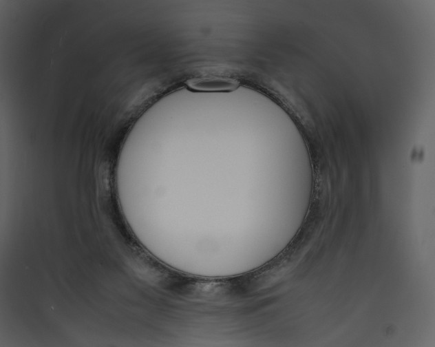 X0000089400117200707131748